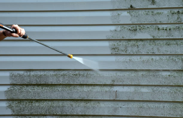 Best Window and Screen Pressure Cleaning in Le Center, MN